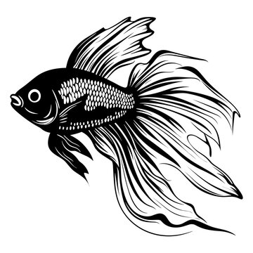 recommend clip art: Betta fish logo black silhouette svg vector