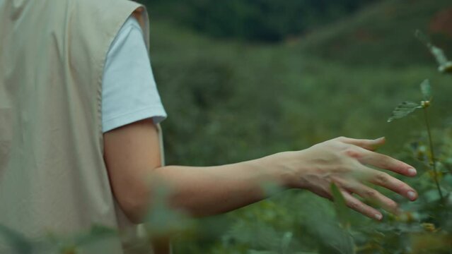 B roll - Hand of woman touching grass in field in the Khao Chong Lom, Thailand, Travel or hiking journey. Summer and springtime.