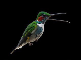 Obraz premium black headed bee eater Ganerated ai