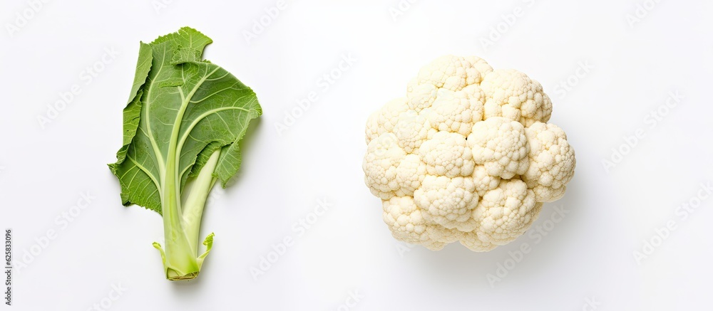 Poster photo of a fresh head of cauliflower and lettuce side by side with copy space