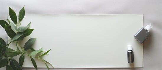 Photo of a plant and a white board on a table with plenty of space for writing or drawing with copy space
