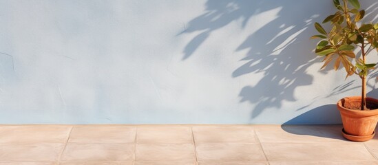 Photo of a potted plant against a vibrant blue wall with plenty of copy space with copy space