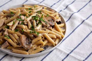 Homemade One-Pot Creamy Chicken Marsala Pasta with Parsley on a Plate, side view. Copy space.