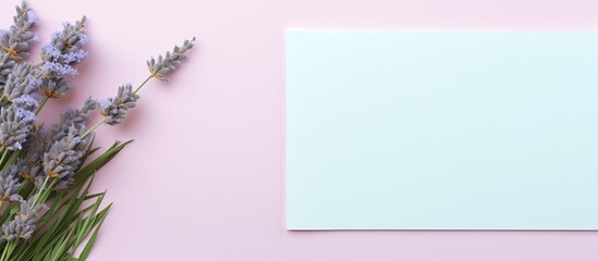 Photo of a blank paper on a pastel blue and pink background, perfect for adding your own text or images with copy space