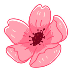 Sakura blossom, flourishing pink flora vector