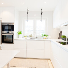 home styled fancy clean scandinavian kitchen interior