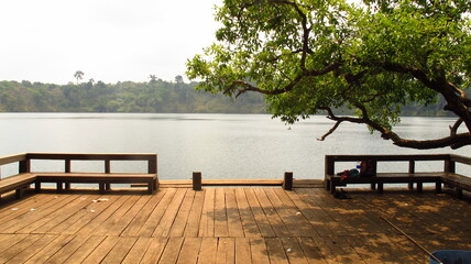 Dock with a tree on the lake