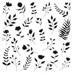 set of hand drawn botanical silhouette isolated on white background