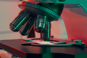Botany: Optical microscopes aid botanists in studying plant structures