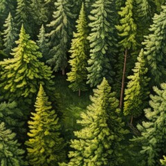 A forest with healthy green trees and old spruce, fir, and pine. (Generative AI)
