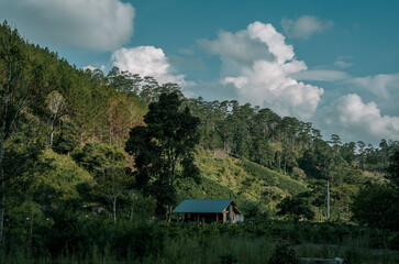 A small house in the valley surrounded by a garden of trees, far away is the blue sky with many clouds.