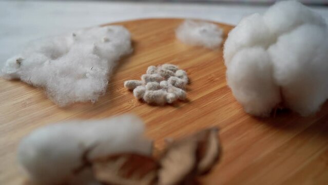 cotton flower, cotton wool, cotton seeds, spinning on a wooden surface