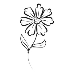 Hand Drawn spring flower design. Cute floral decoration icon vector illustration design