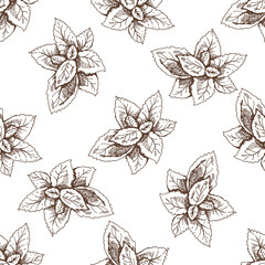 Hand-drawn vector seamless pattern of mint leaves. Vintage doodle illustration. Sketch for cafe menus and labels. The engraved image.