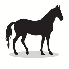 Zorse silhouettes and icons. Black flat color simple elegant Zorse animal vector and illustration.