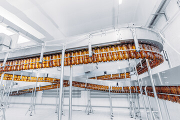Concept modern production line of brewery industry. Conveyor with brown plastic beer bottles with...