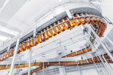 Concept modern production line of brewery industry. Conveyor with brown plastic beer bottles with drink alcohol