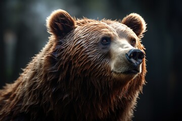 Fototapeta na wymiar Adorable Bear in the Wild