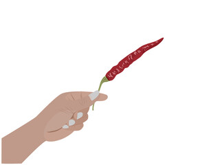 Dried chili peppers on a white background.