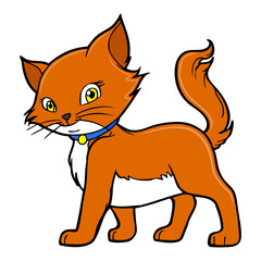 cat vector illustration