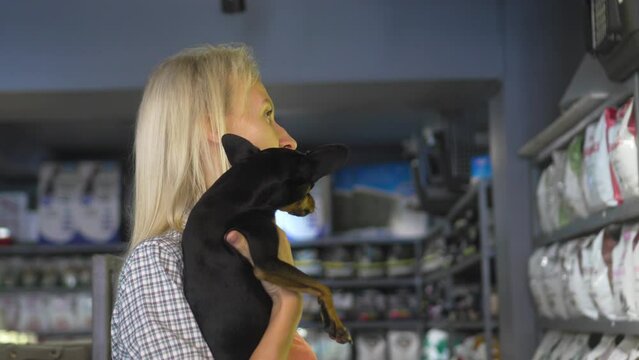 Woman pushing her toy terrier dog in her arms while walking in pet-friendly mall. Pet dog and owner enjoy life while traveling around city on summer vacation. Child Free, Humanization of Pets.