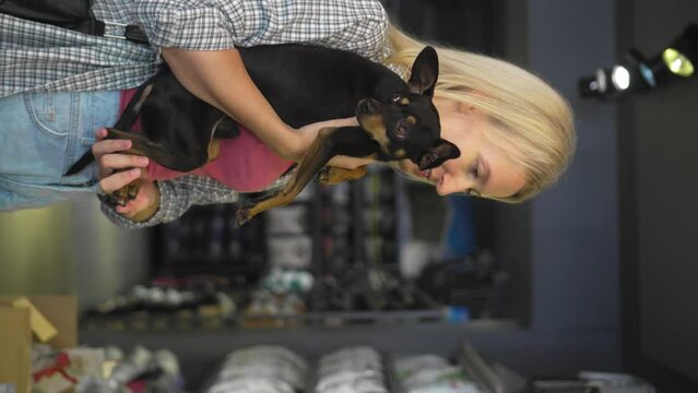 Woman pushing her toy terrier dog in her arms while walking in pet-friendly mall. Pet dog and owner enjoy life while traveling around city summer vacation. Child Free, Humanization Pets Vertical video
