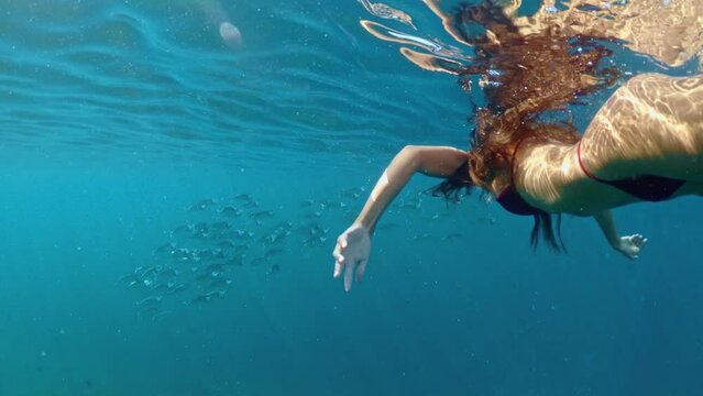 Underwater of a woman snorkeling above a coral reef. Girl in snorkeling mask dive underwater with tropical fishes in coral reef sea pool. Travel lifestyle, water sport outdoor adventure, swimming
