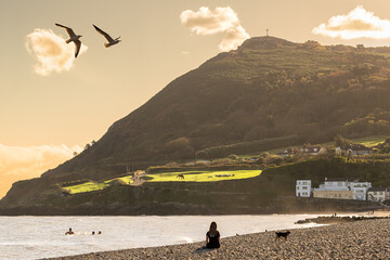 Bray Head, Ireland. A remarkable image capturing a multitude of birds in flight, choreographed harmoniously above a quiet beach, set against an imposing mountain backdrop.