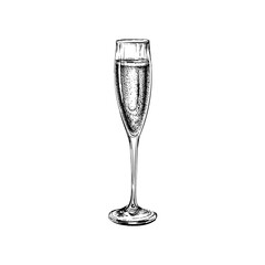 Champagne Glass Hand Drawing Illustration Bubbles. Alcoholic Drink. Champagne Glass Hand Drawing Illustration Bubbles. Alcoholic Drink.