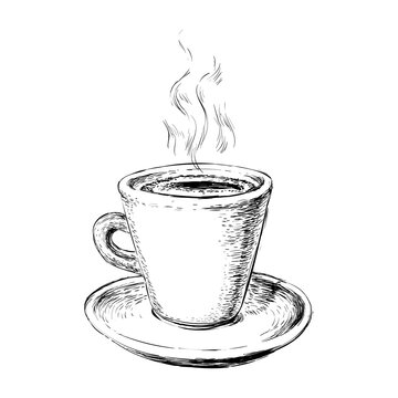 Hand Drawn Sketch Coffee Cup Illustration. 