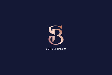 sb typo letter modern brand design modern style creative golden wordmark design typography illustration, sb logo design, sb typo, sb golden, sb luxury