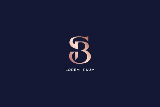 sb typo letter modern brand design modern style creative golden wordmark design typography illustration, sb logo design, sb typo, sb golden, sb luxury