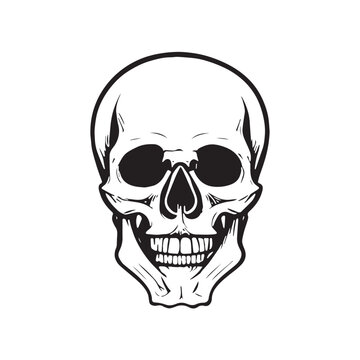 human skull black and white