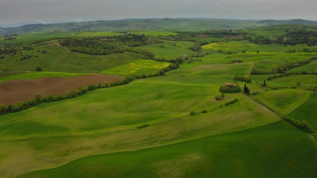 Tuscany green fields in spring in the Orcia Valley italy Aerial view