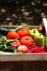 Wooden crate full of healthy seasonal fruit and vegetable, in the garden. Selective focus.