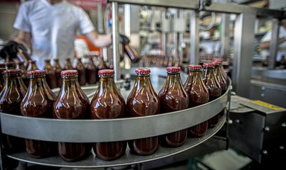 The working process of production of tomatoes to canned food and vegetable factory. Workers on the production of canned food. Processing tomato.