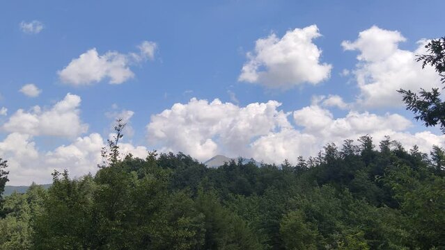 Il monte Nerone visto dal sentiero 100
