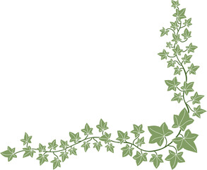 Simplicity ivy freehand drawing