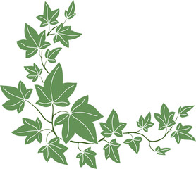 Simplicity ivy freehand drawing