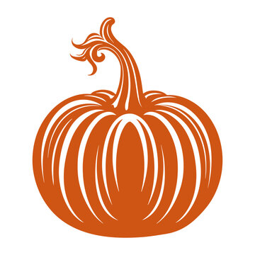 Orange pumpkin silhouette. Thanksgiving day vector illustration in engraving style. Autumn vegetables art.
