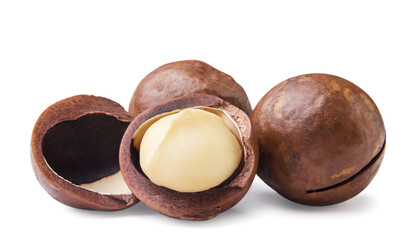 Macadamia nuts and broken close-up on a white background.