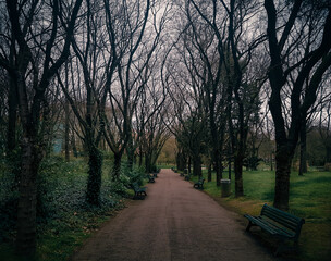 Beautiful shot of walking trail through a park in Toulouse, France