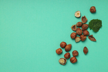 Healthy food and healthy nutrition concept, nuts - hazelnut