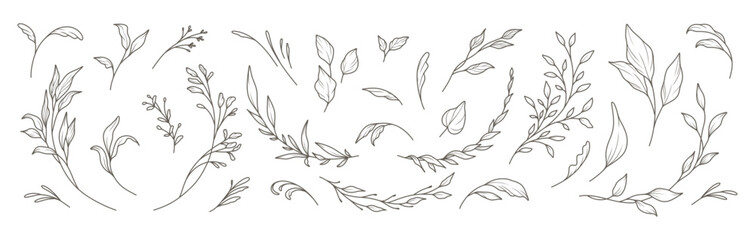 Hand drawn floral elements in line art style. Greenery for decoration, wild and garden plants, branches, leaves. Vector illustration for logo, tattoo, wedding invitation, save the date card © Feodora_21