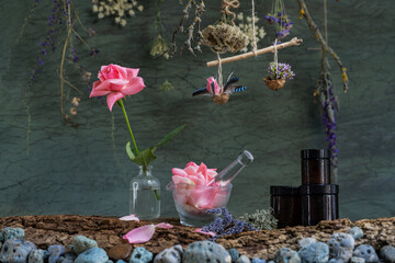 Medicinal herbs. Natural cosmetics manufacturing.