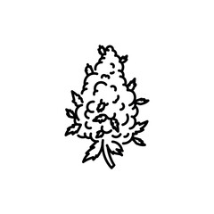 Marijuana hashish color line icon. Cannabis product sign. Narcotic substance.