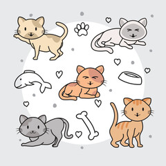 Obraz premium Cat Doodle Pattern Vector Design