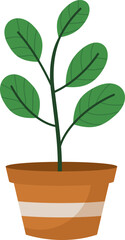 Houseplant in a pot flat illustration isolated