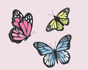 Obraz na płótnie Canvas set of butterfly colorful vector design