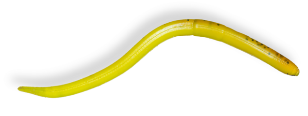 Shadow behind a rubber worm made for fishing